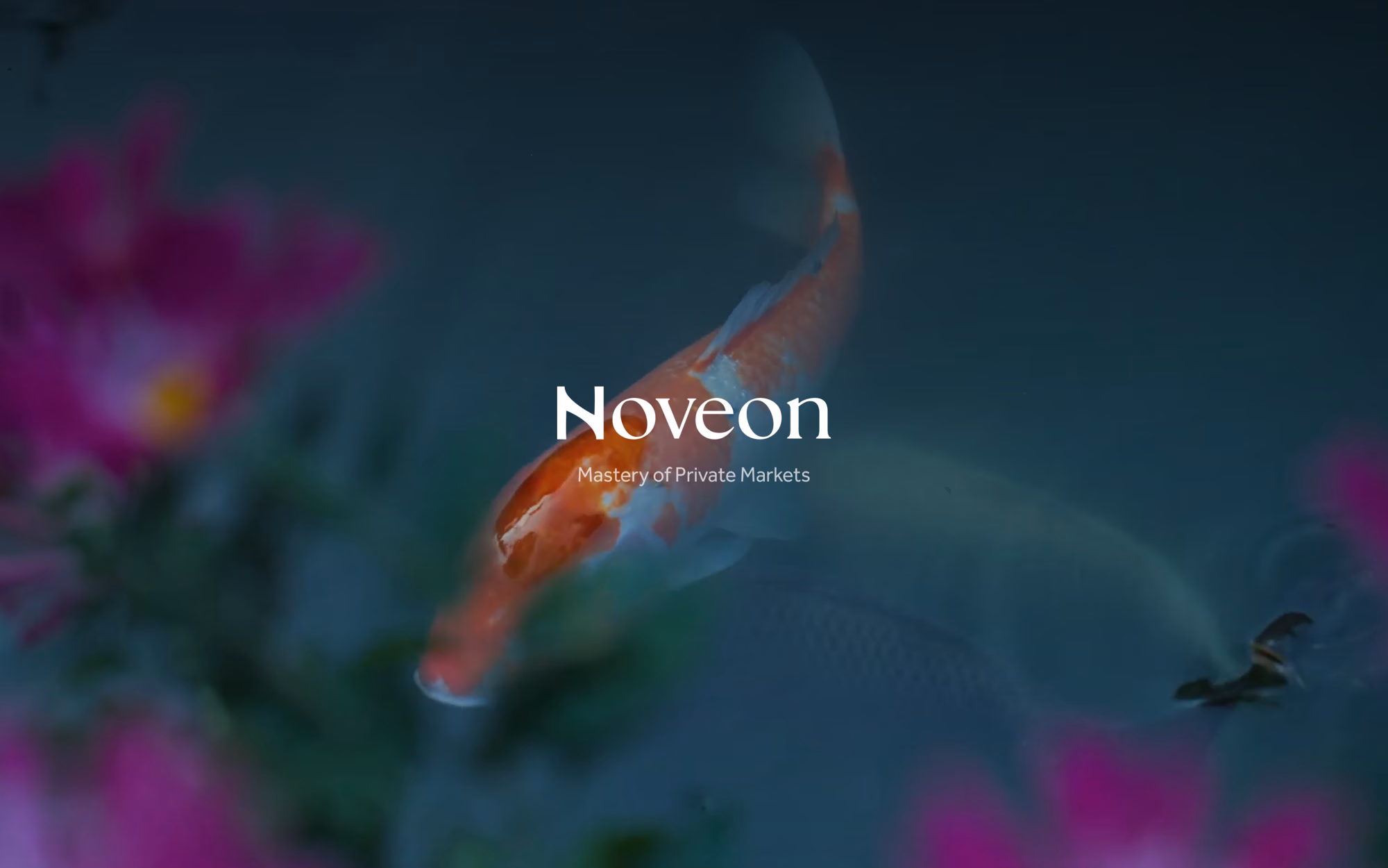 The site's opening frame: the Noveon wordmark and the line Mastery of Private Markets over slowed footage of a koi carp.